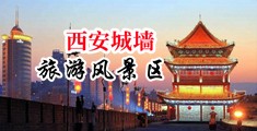 女人的白屁股中国陕西-西安城墙旅游风景区